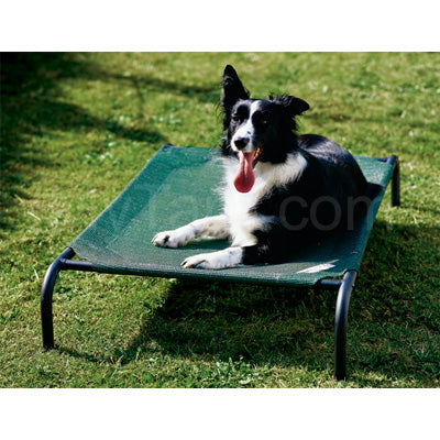 Coolaroo medium dog bed best sale